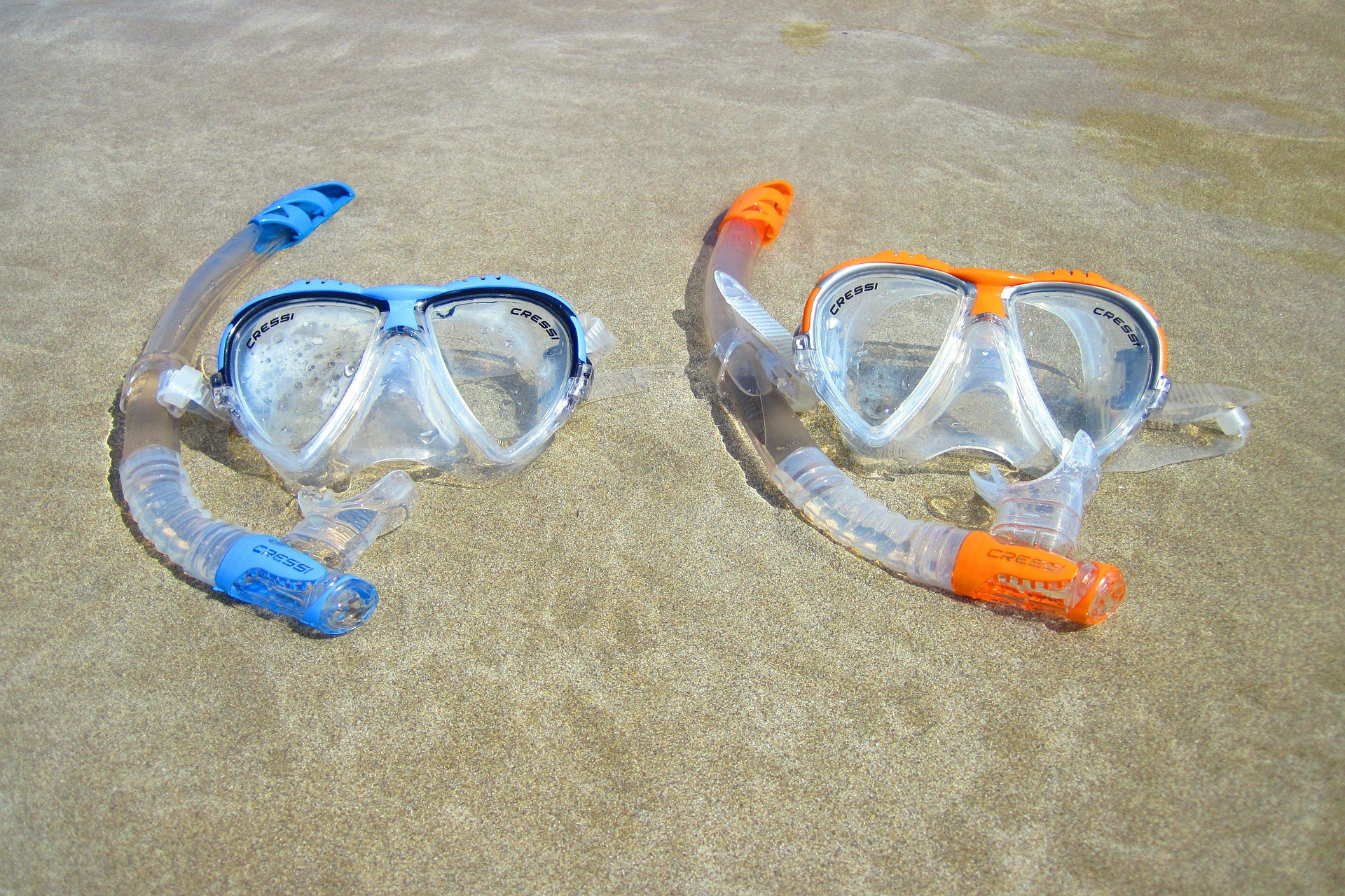 Buceo y Snorkel en Canarias: Los 12 Mejores Spots del Archipiélago en 2026