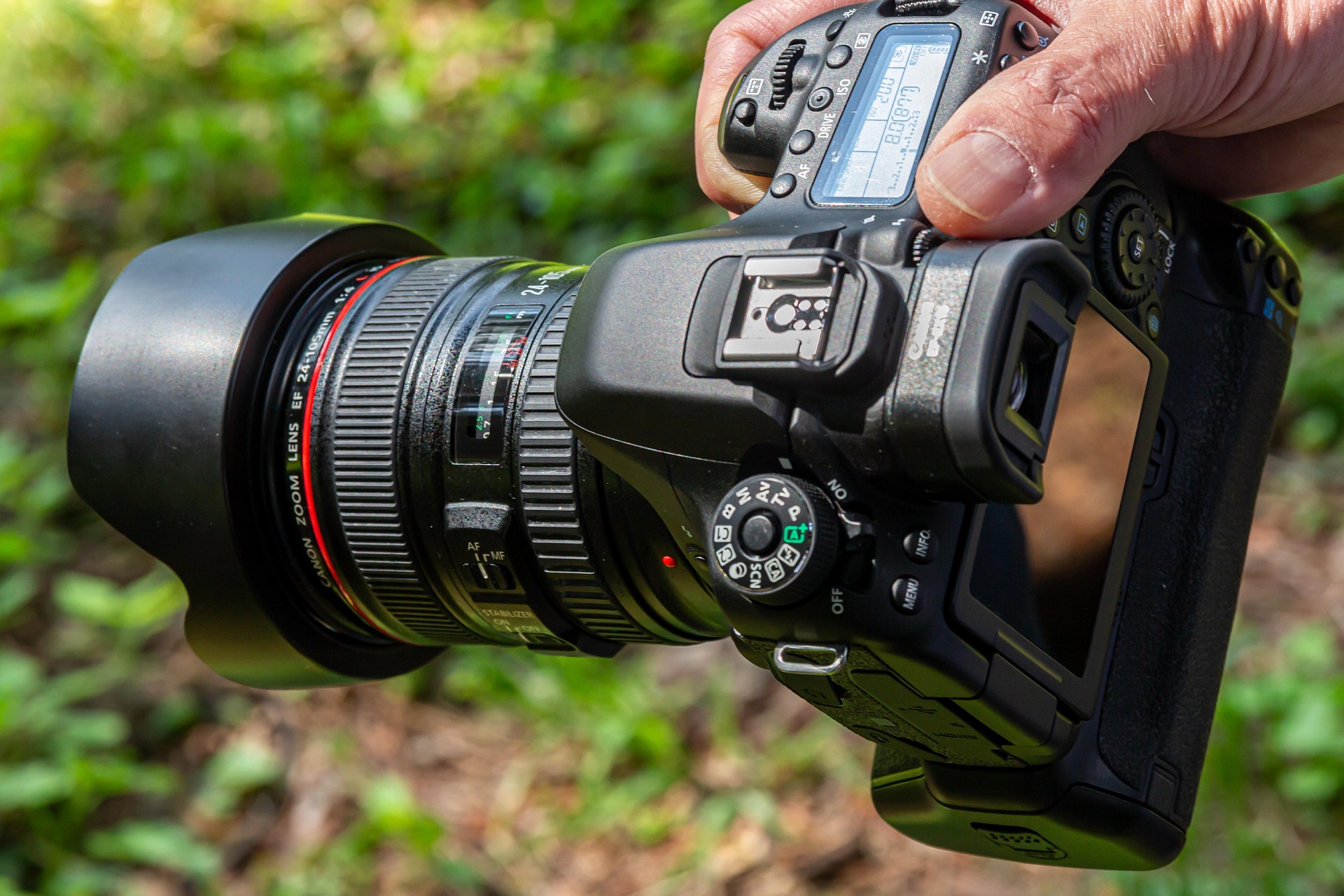 Fotografía de Naturaleza en Canarias: Los 10 Mejores Spots para Fotógrafos