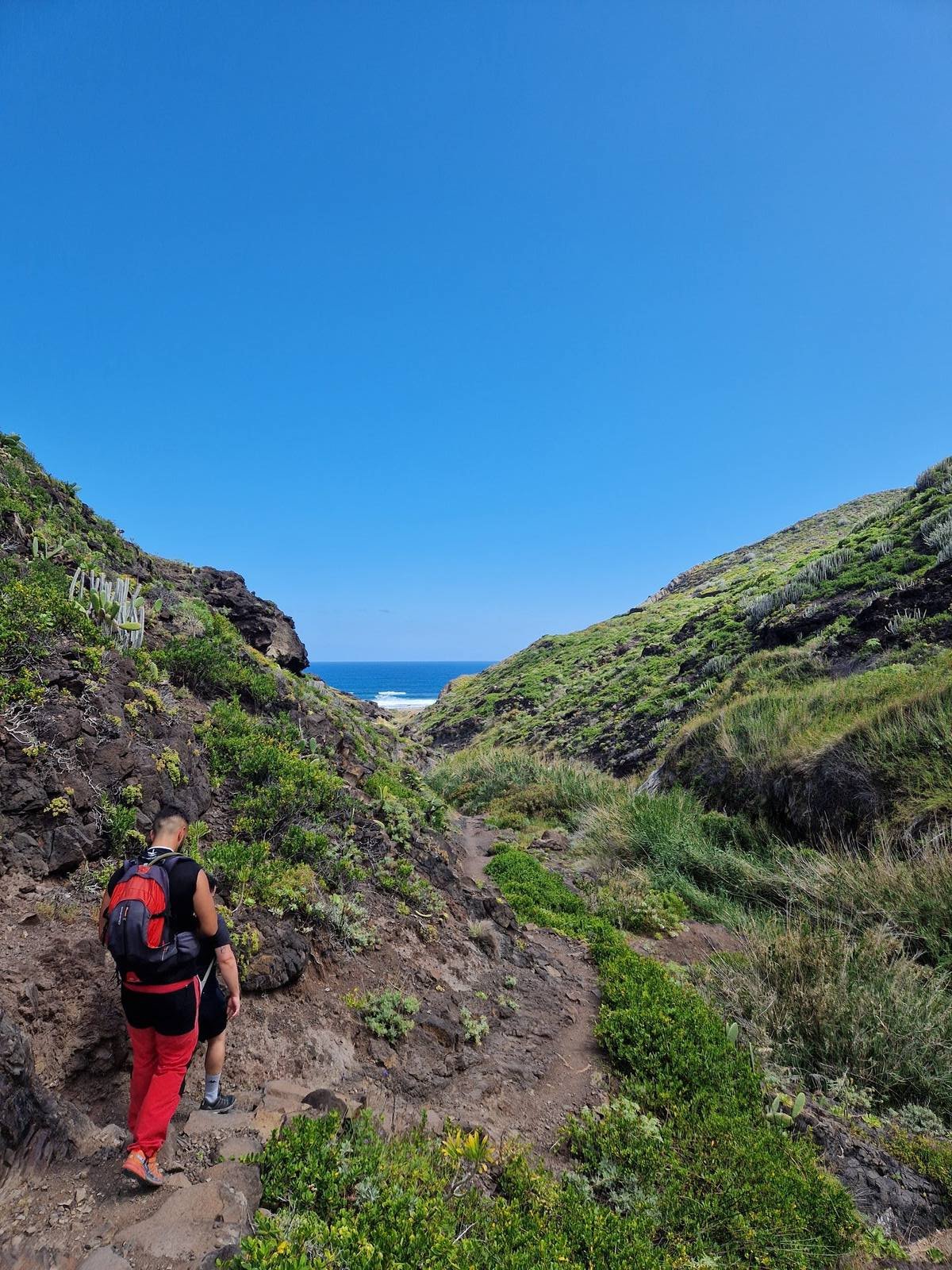 ¿Cuál es la Mejor Isla de Canarias para Hacer Senderismo? Comparativa 2026