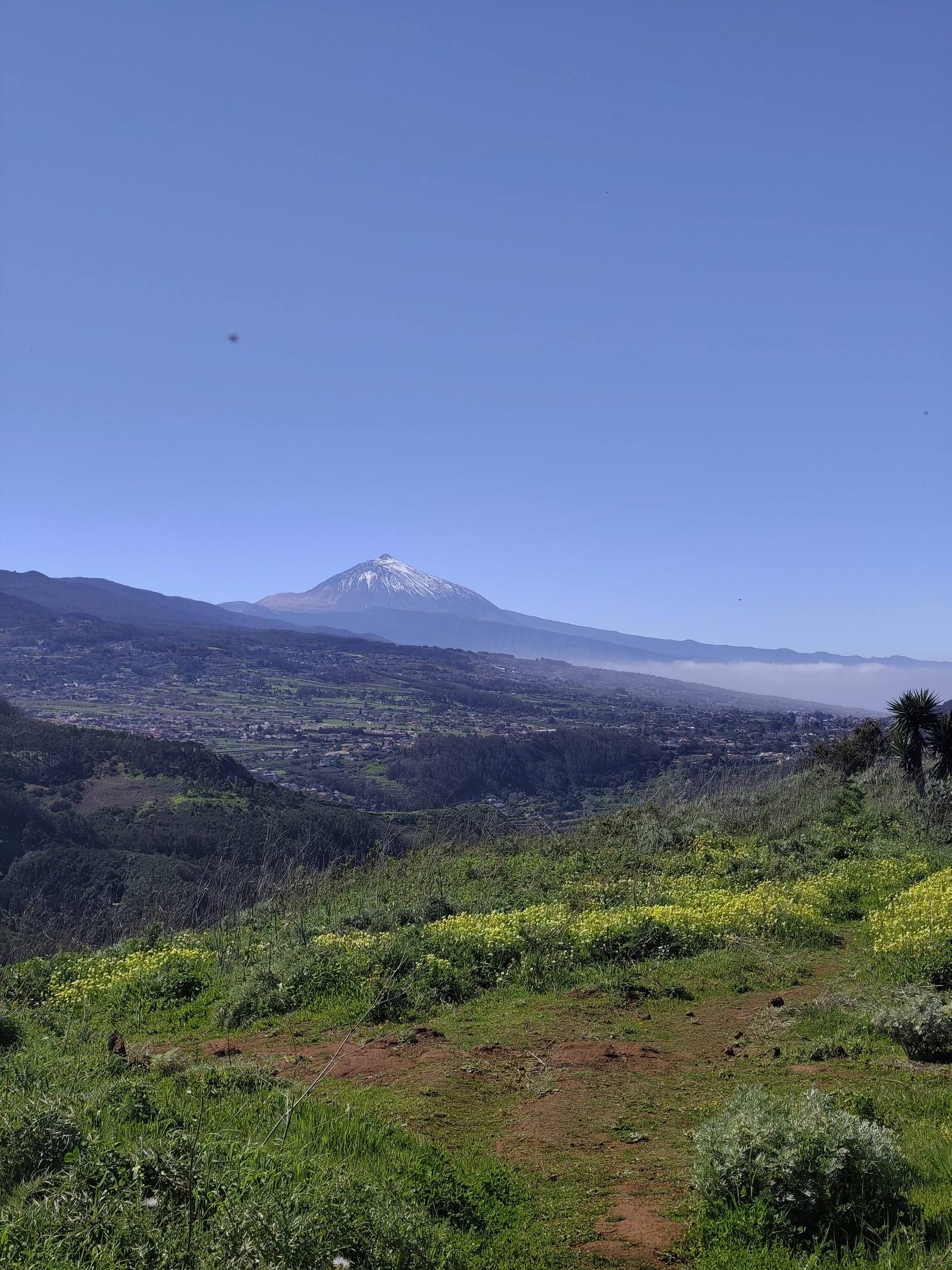 Tenerife